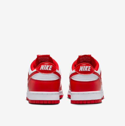 TENIS NIKE DUNK LOW RETRO